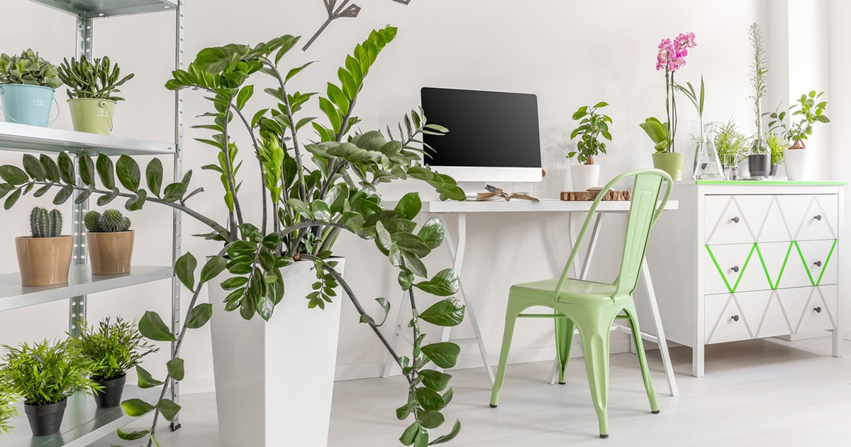 Rutinitas Sederhana yang Menjadikan Rumah Lebih Nyaman Setiap Hari