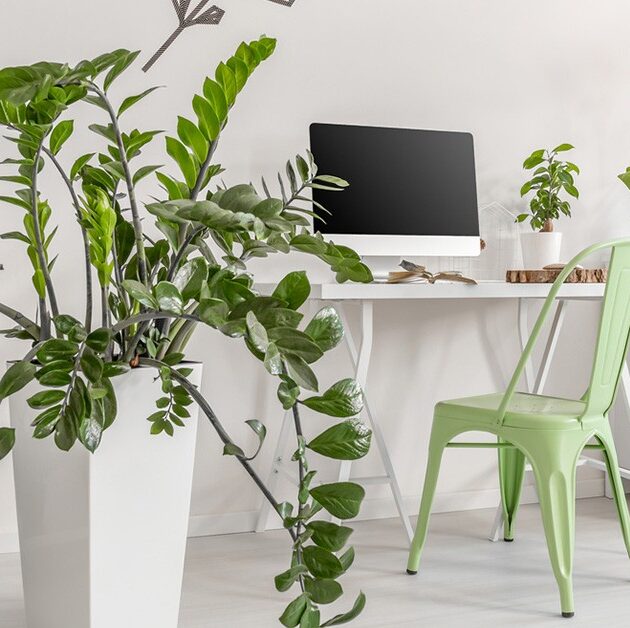 Superpowerindependent